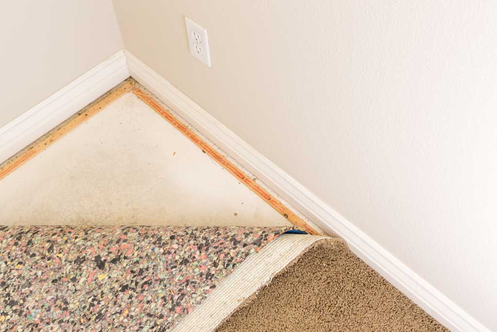 High-Quality Padding Under Carpet