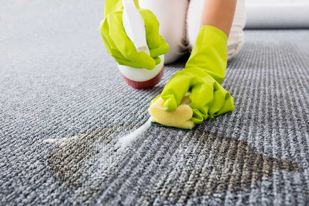 Visible Carpet Mold