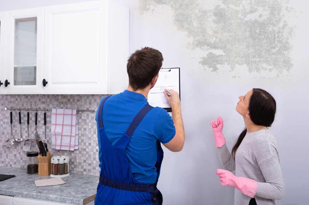 Indoor Mold Inspection With Homeowner Indoor Mold Inspection With Homeowner