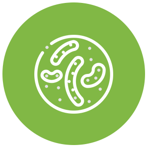 Legionella Legionella Icon