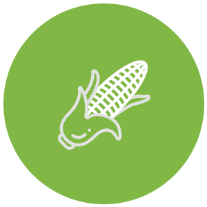 Mycotoxin Mycotoxin Icon