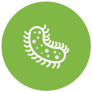 Ecoli Ecoli Icon
