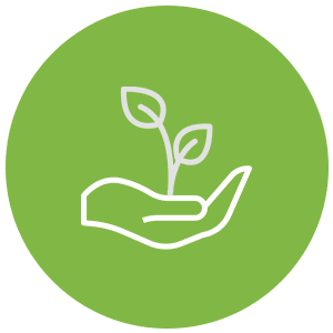 Enviroinment Environment Icon