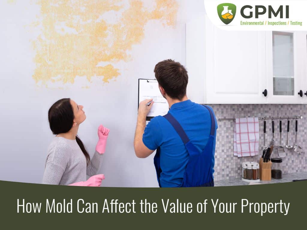 How Mold Can Affect The Value Of Your Property