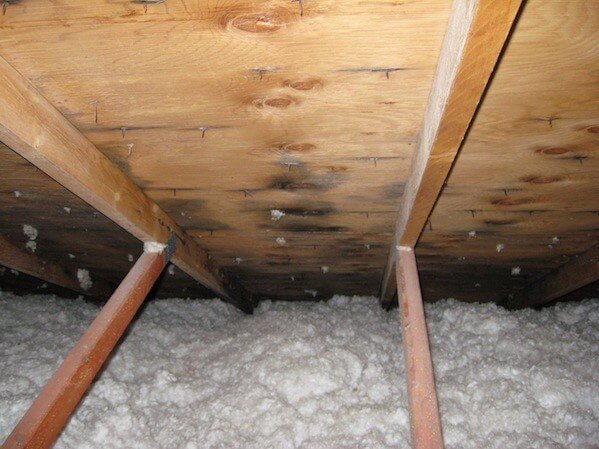 Attic Mold 2 Improper-Attic-Ventilation
