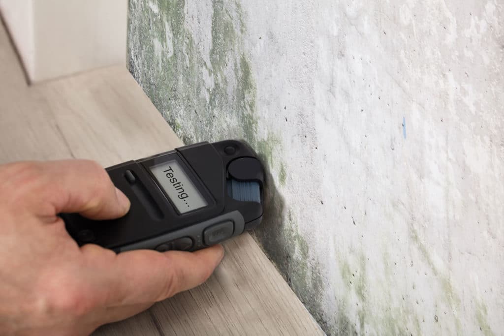 What To Do When There’s Water Damage, Mold, &Amp; Mildew 10 Mold Testing