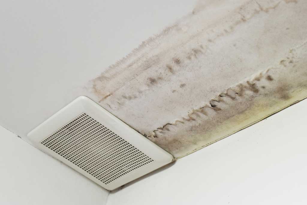 A Hard Pass: The 7 Dangers Of Buying A House With Mold 3 Indoor Mold Due To Ac Malfunction