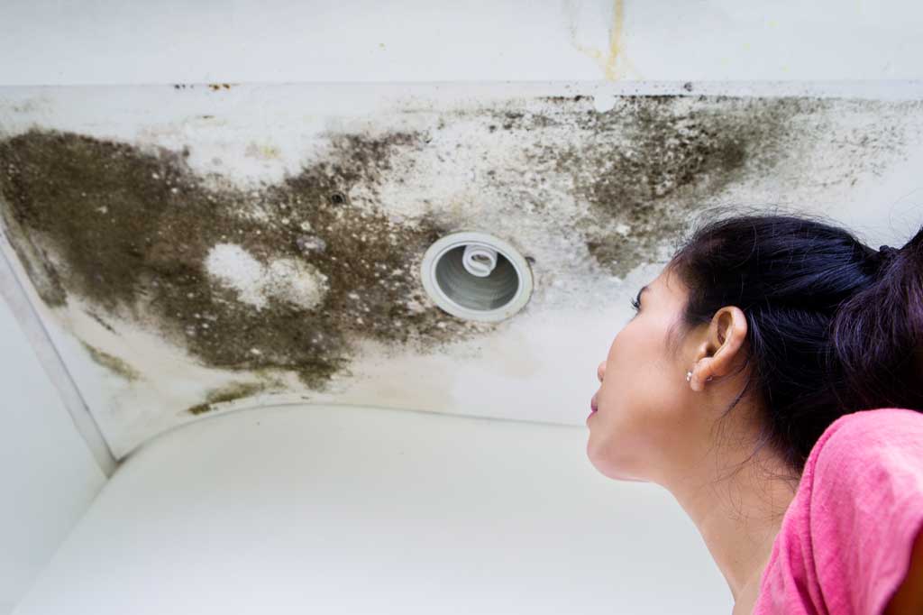 Dealing With Lyme Disease And Mold Illness 9 Indoor Mold Growth Due To Roof Leaks