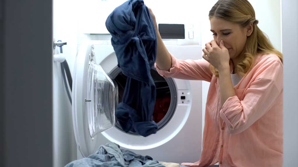 What To Do When There’s Water Damage, Mold, &Amp; Mildew 5 Mold On Damp Laundry