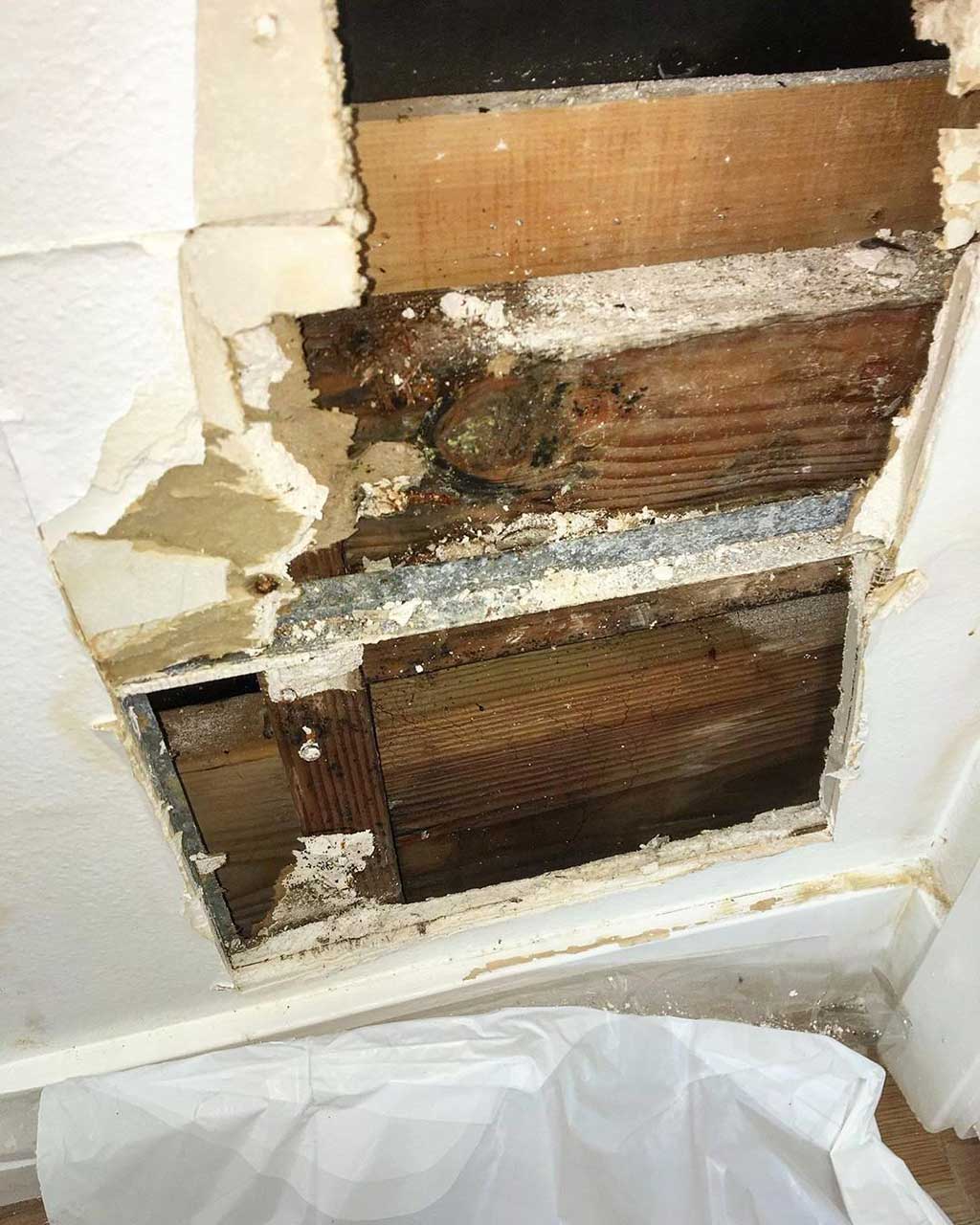 How To Prevent Mold From Growing In Your Basement And Crawl Space 3 How To Prevent Mold From Growing In Your Basement And Crawl Space 1