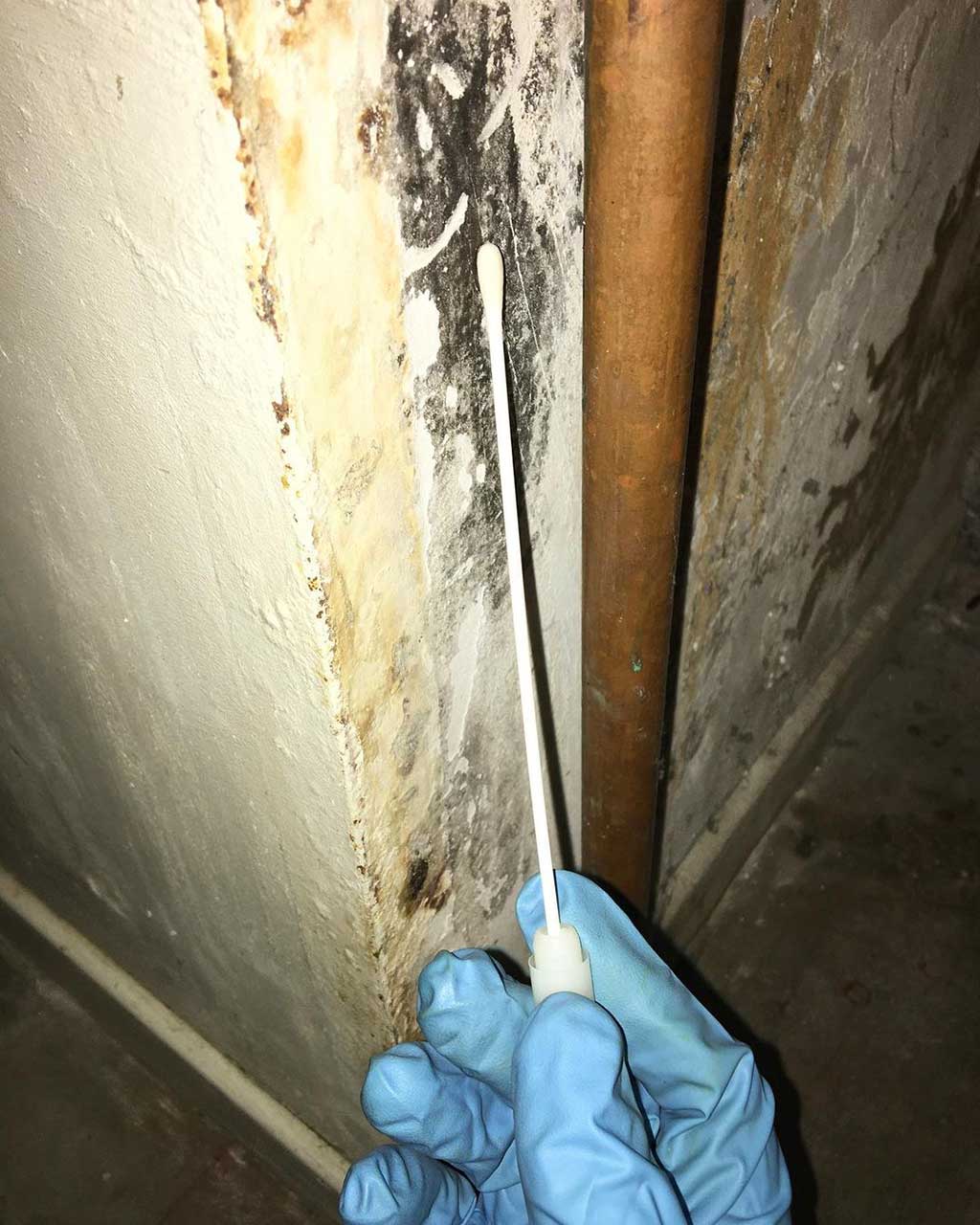 How To Prevent Mold From Growing In Your Basement And Crawl Space 5 How To Prevent Mold From Growing In Your Basement And Crawl Space 2