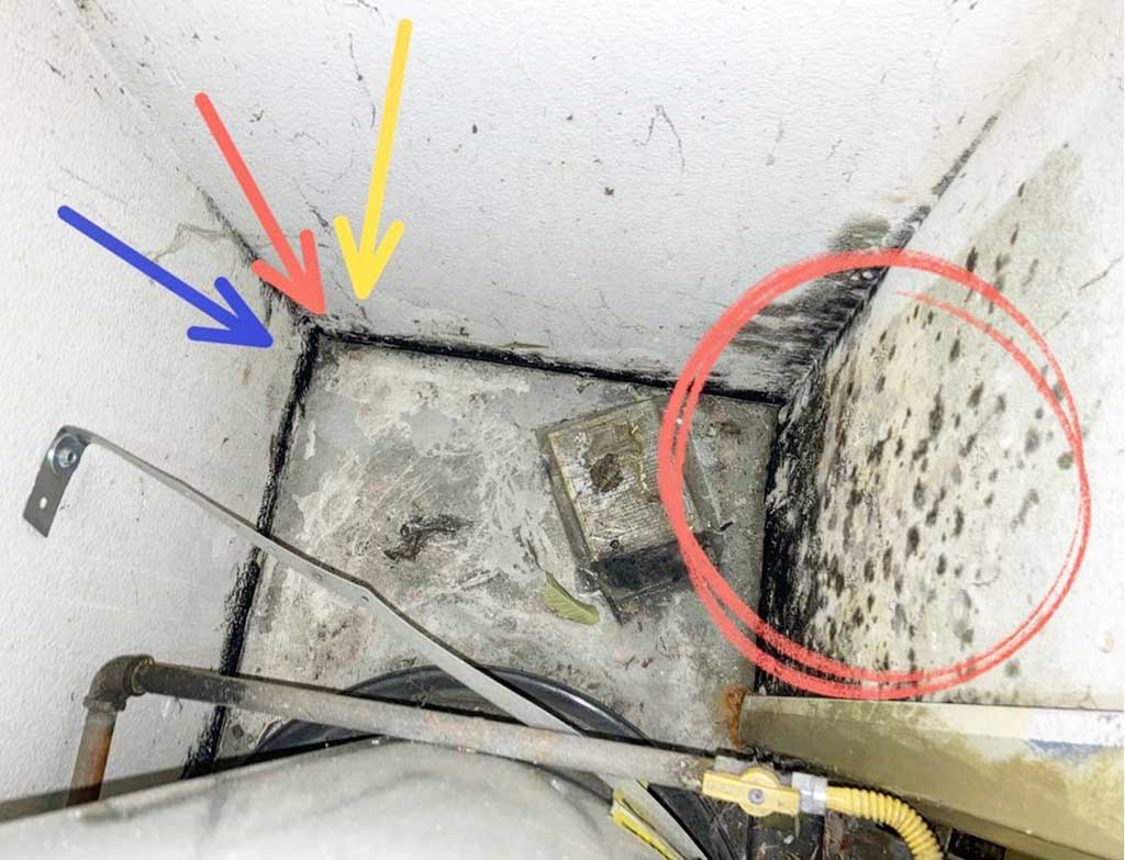 How To Prevent Mold From Growing In Your Basement And Crawl Space 4 Water Heater Leak Mold Growth