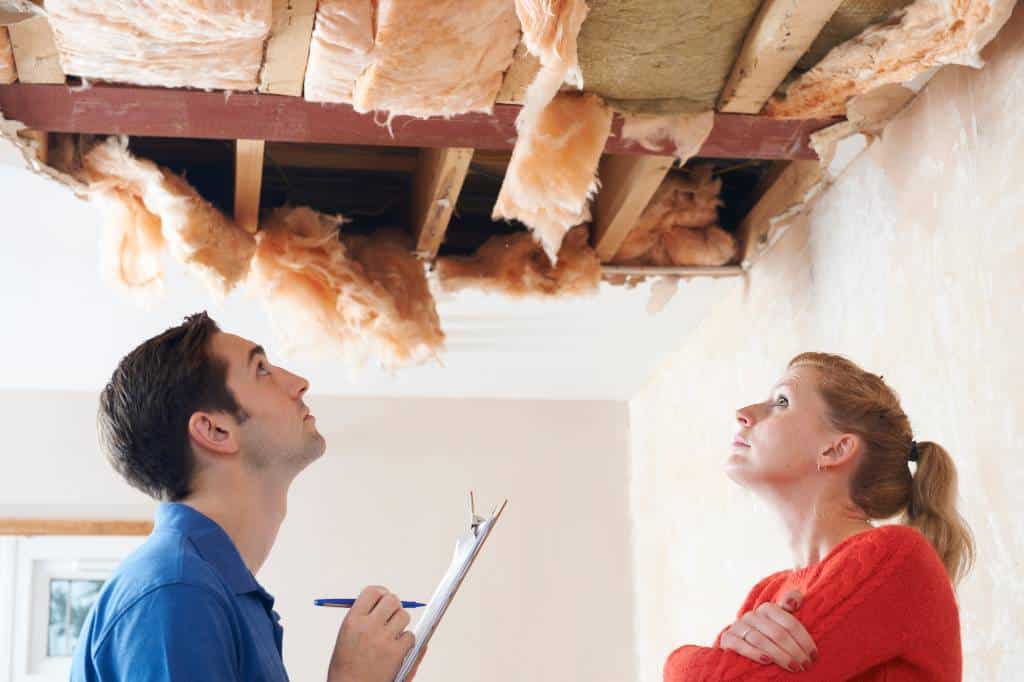 A Hard Pass: The 7 Dangers Of Buying A House With Mold 7 Mold Deteriorates Property Structure