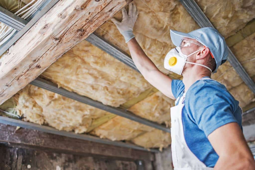 Managing Ideal Indoor Humidity Level To Prevent Mold Growth 5 Basement Crawlspace Insulation