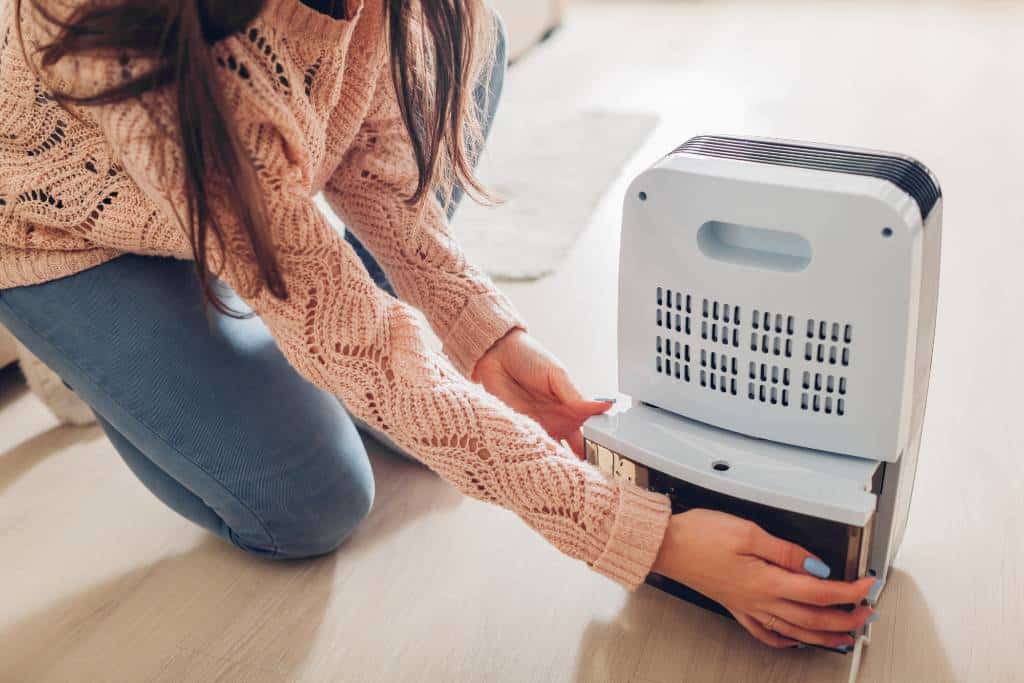 Managing Ideal Indoor Humidity Level To Prevent Mold Growth 4 Buy A Dehumidifier