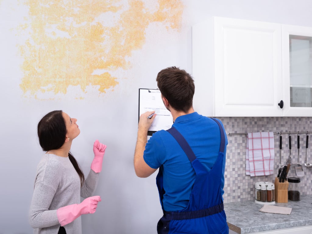 Mycotoxins And Mold: How Does It Affect You And Your Family? 17 Request Mold Inspection