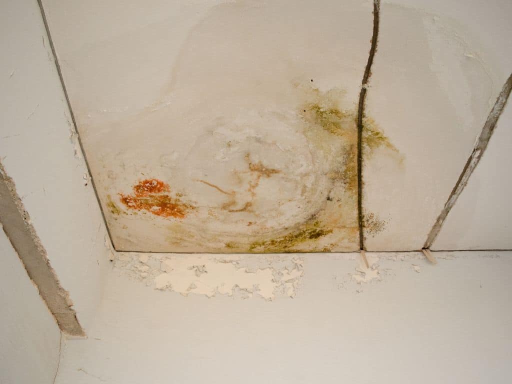 10 Symptoms Of Poor Air Quality In Your Home 8 Leaking Roof With Mold