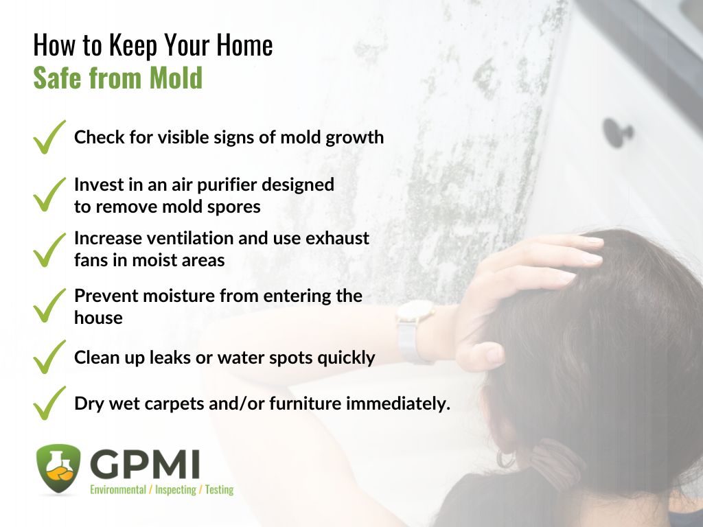The Hidden Threat: Unveiling The Neurological Effects Of Mold And Its Prevalence 4 Steps To Keep Your Home Safe From Mold