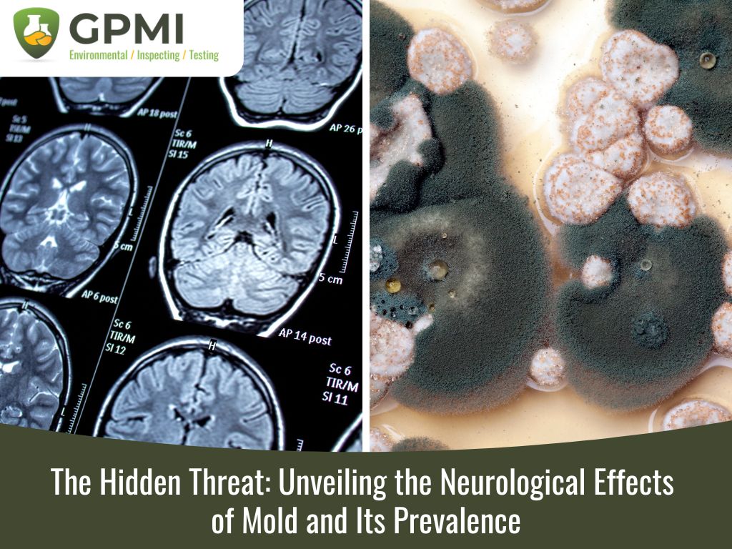 The Hidden Threat: Unveiling The Neurological Effects Of Mold And Its Prevalence 1 Unveiling The Neurological Effects Of Mold And Its Prevalence