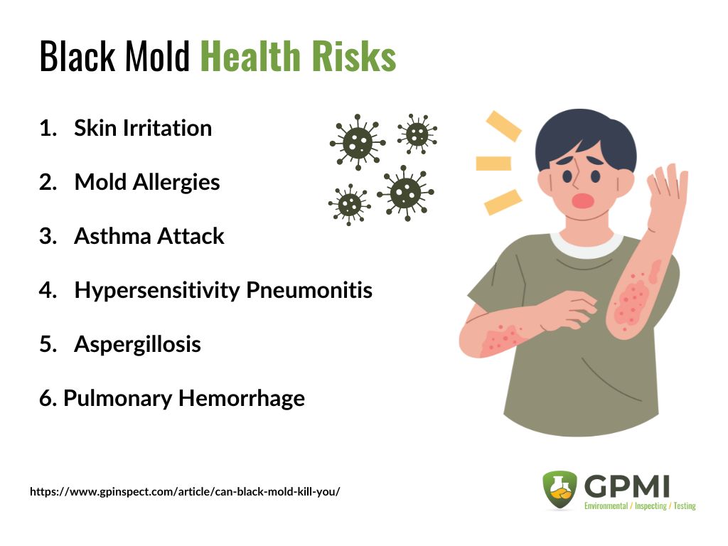 Can Black Mold Kill You? Exposure, Symptoms, Prevention 4 Can Black Mold Kill You? Exposure, Symptoms, Prevention 1