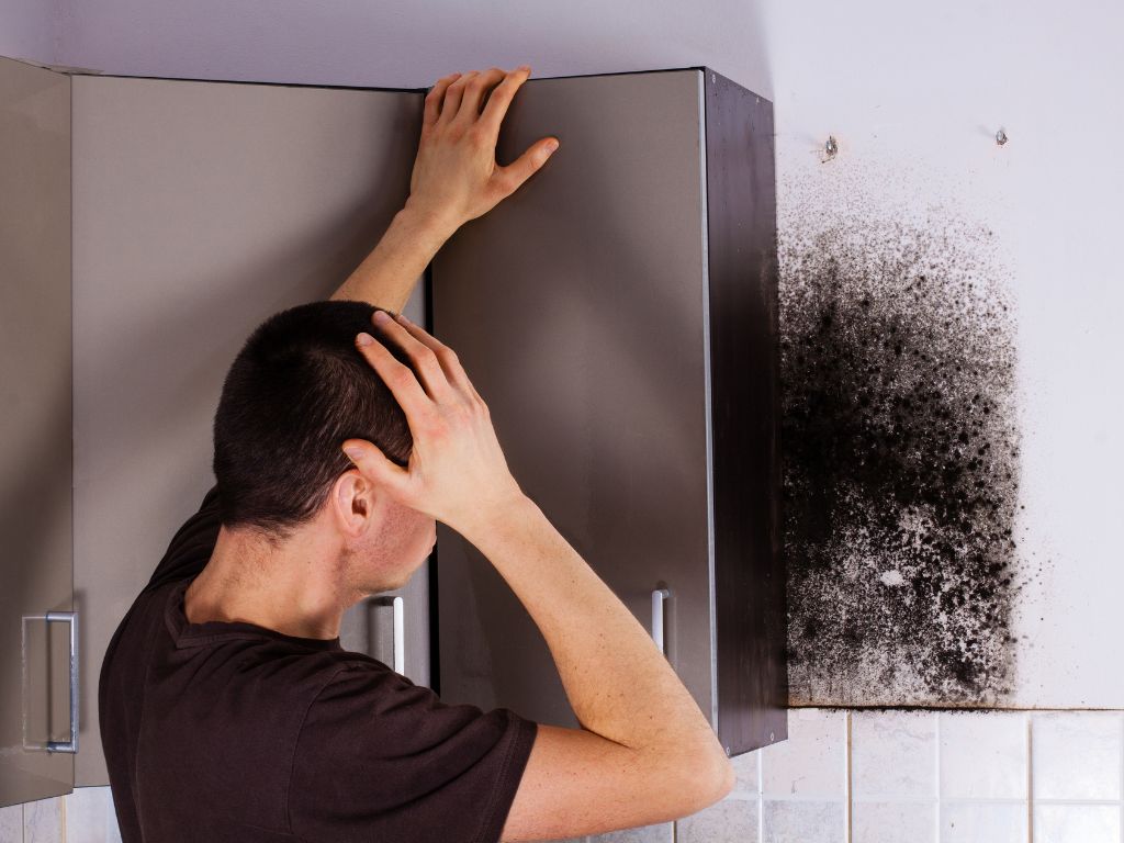 Can Black Mold Kill You? Exposure, Symptoms, Prevention 2 Black Mold On Walls