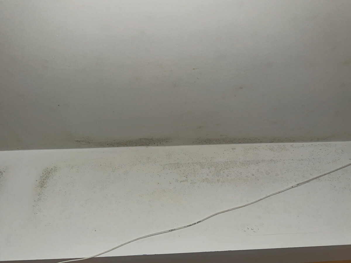 Ceiling with visible mold and exposed wires hanging down, indicating potential maintenance issues.