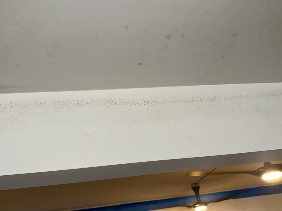 White ceiling showing patches of mold, indicating potential moisture issues in the room.