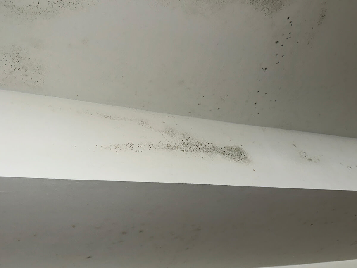White ceiling showing patches of mold, indicating potential moisture issues in the room.