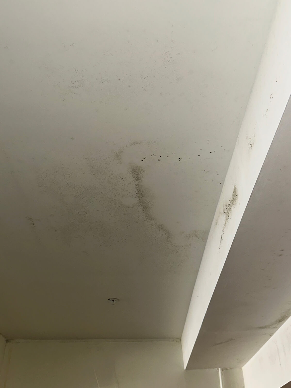 White ceiling showing patches of mold, indicating potential moisture issues in the room.