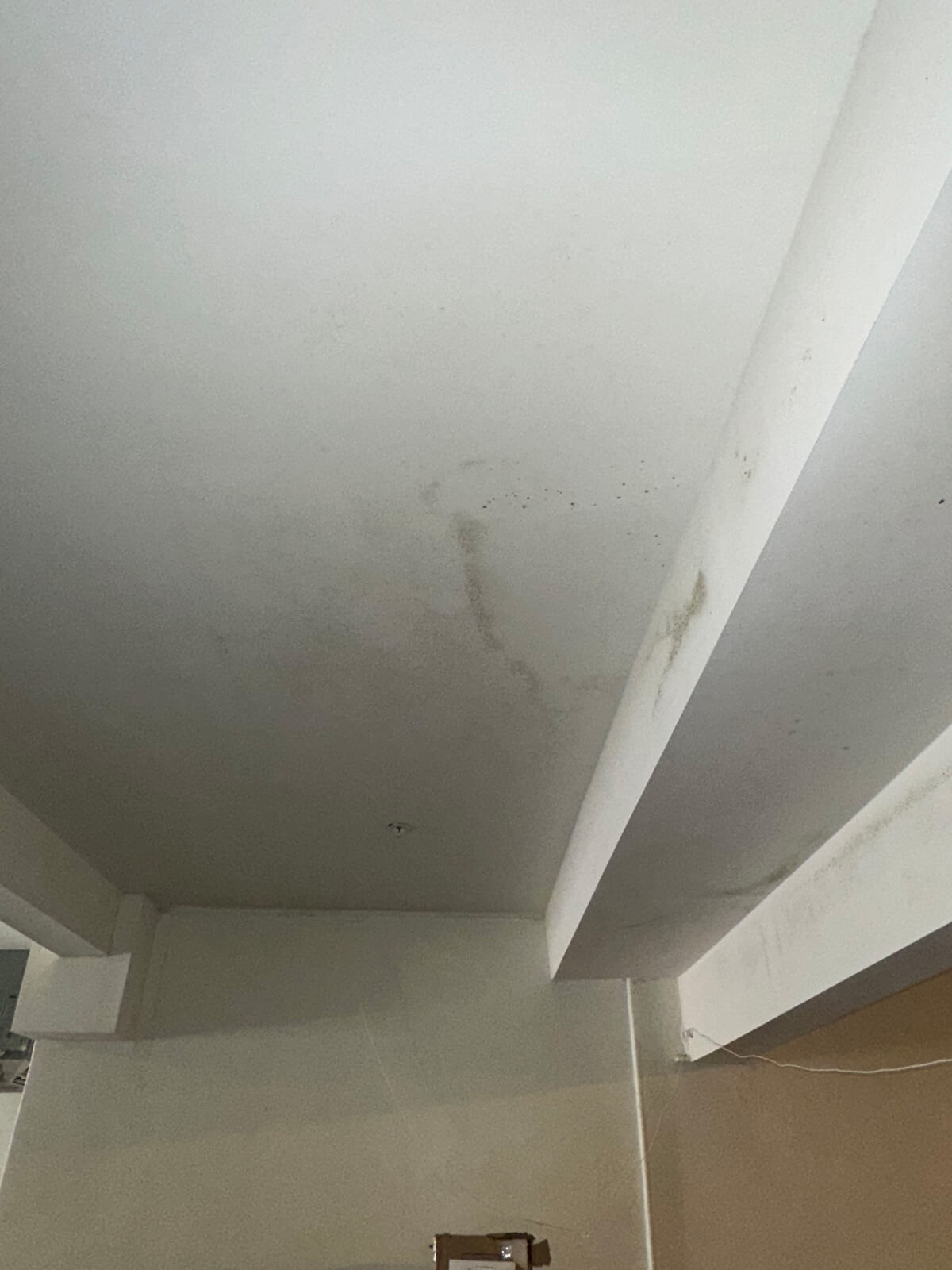 White ceiling showing patches of mold, indicating potential moisture issues in the room.