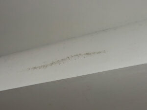 White Ceiling Showing Patches Of Mold, Indicating Potential Moisture Issues In The Room.