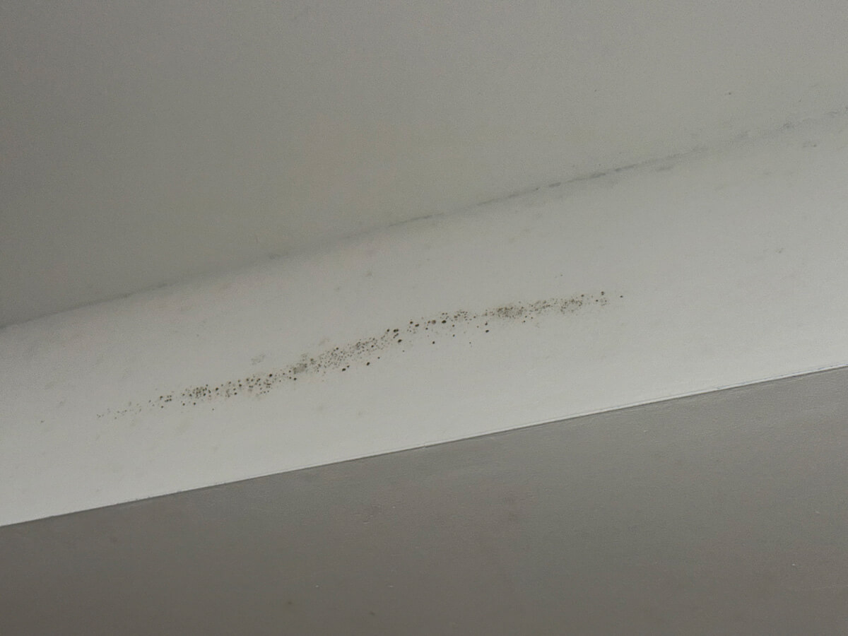 White ceiling showing patches of mold, indicating potential moisture issues in the room.
