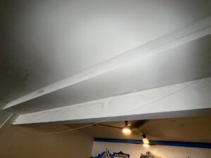 Ceiling With Visible Mold And Exposed Wires Hanging Down, Indicating Potential Maintenance Issues.