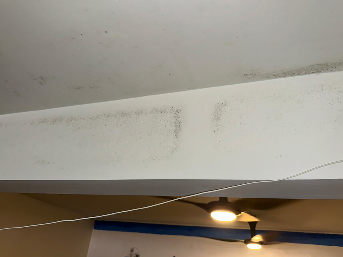 White ceiling showing patches of mold, indicating potential water damage or poor ventilation in the space.