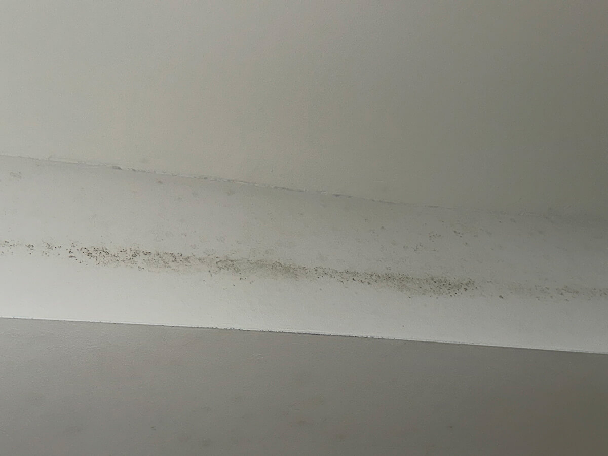 White ceiling showing patches of mold, indicating potential water damage or poor ventilation in the space.