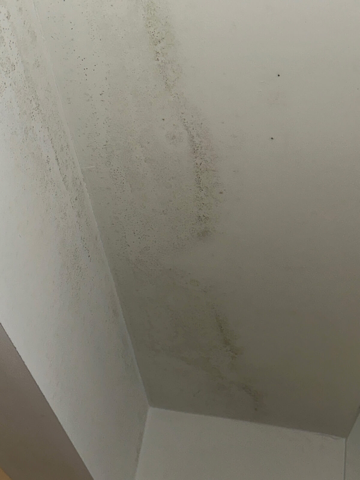 White ceiling showing patches of mold, indicating potential water damage or poor ventilation in the space.