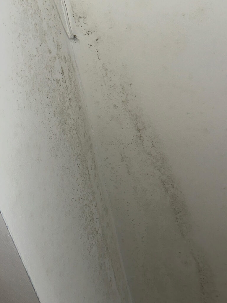 Irvine Mold Inspection And Testing 1 White Ceiling Showing Patches Of Mold, Indicating Potential Water Damage Or Poor Ventilation In The Space.