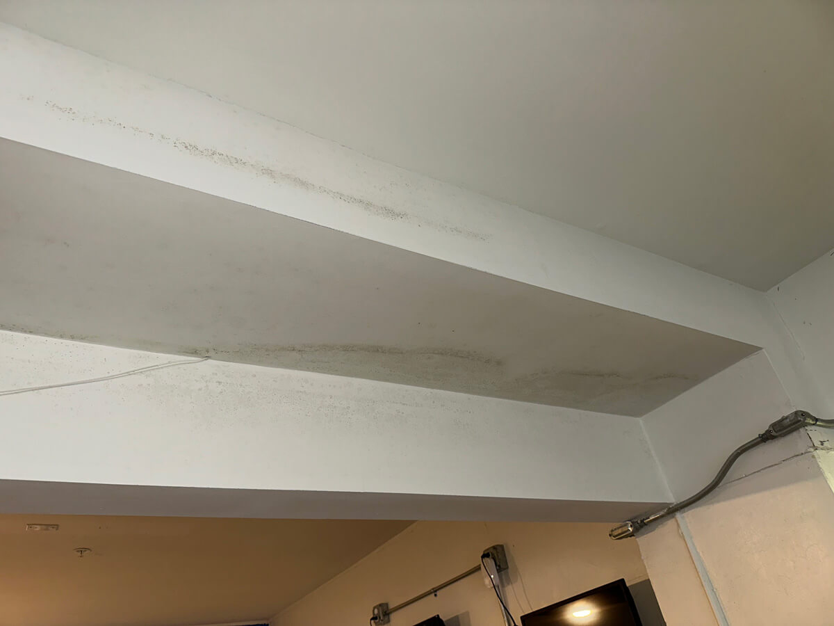 Ceiling showing visible mold growth with a closed door in the background.