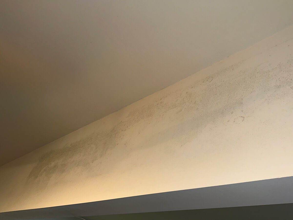 Moldy ceiling in a kitchen with a light fixture above, highlighting the deterioration and neglect of the space.