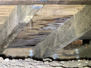 Los Angeles Home – Addressing Health Concerns And Hidden Mold Growth 2 Wooden Beam With A Circular Hole, Partially Embedded In Dirt, Showcasing Natural Textures And Earthy Tones.