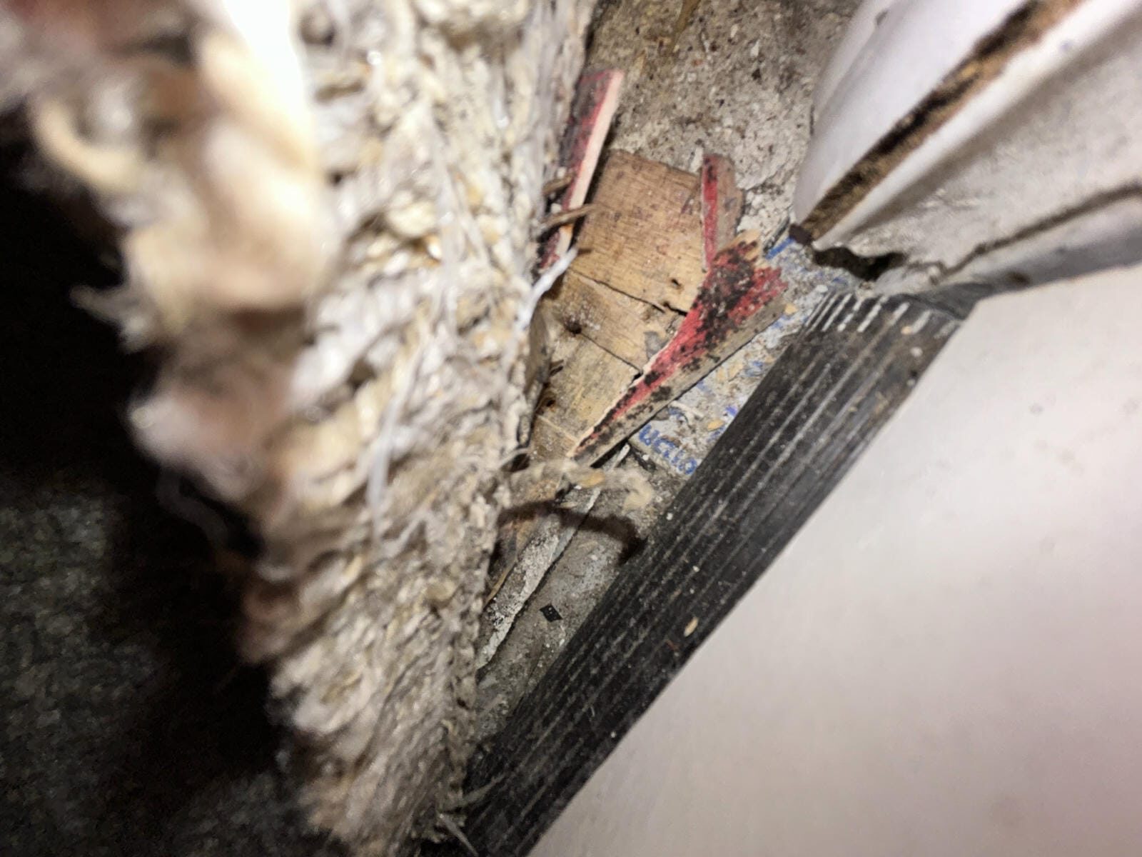 Close-Up Of Mold Inspection Under Carpet Edge Near Wall In Coto De Caza Home.