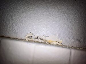 Exposed drywall damage with visible black mold behind peeling paint in Newport Beach shower area.