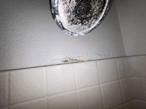 Peeling paint on bathroom shower wall in Newport Beach during mold inspection, showing water intrusion signs.