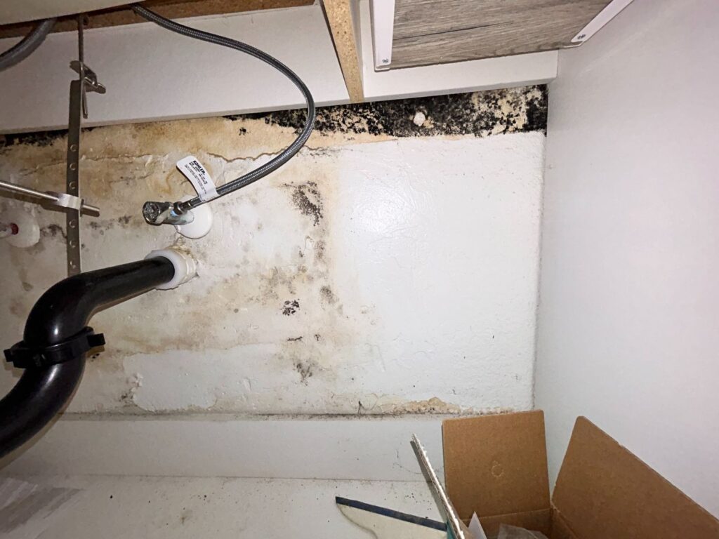 Severe Mold And Water Damage Under Kitchen Sink.