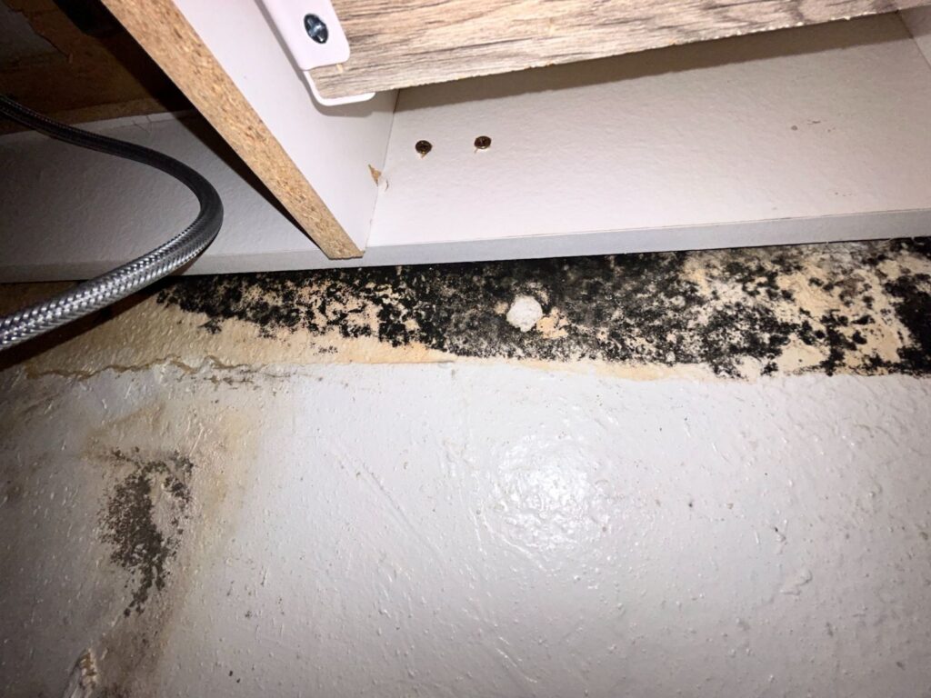 Widespread Mold On Wall Beneath Kitchen Sink Pipes.