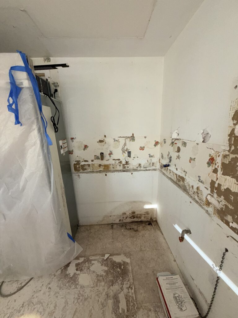 Significant Mold And Water Damage In Coastal Home Due To Roofing Issues Image Title: Mold Damage From Roofing Failure In Coastal Home