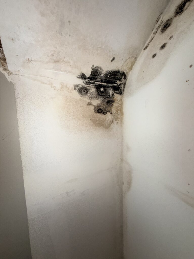 Mold Accumulation In Corner Of Coastal Home’s Bathroom Image Title: Mold In Bathroom Corner Of Coastal Home