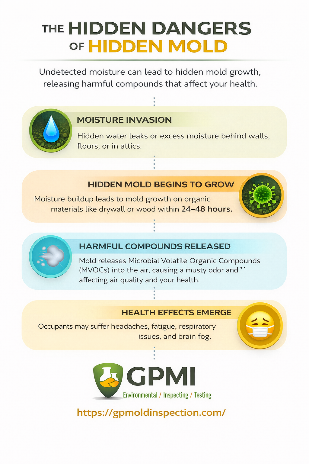 User-Inserted Infographic Showing Hidden Mold Progression From Moisture Intrusion To Health Symptoms