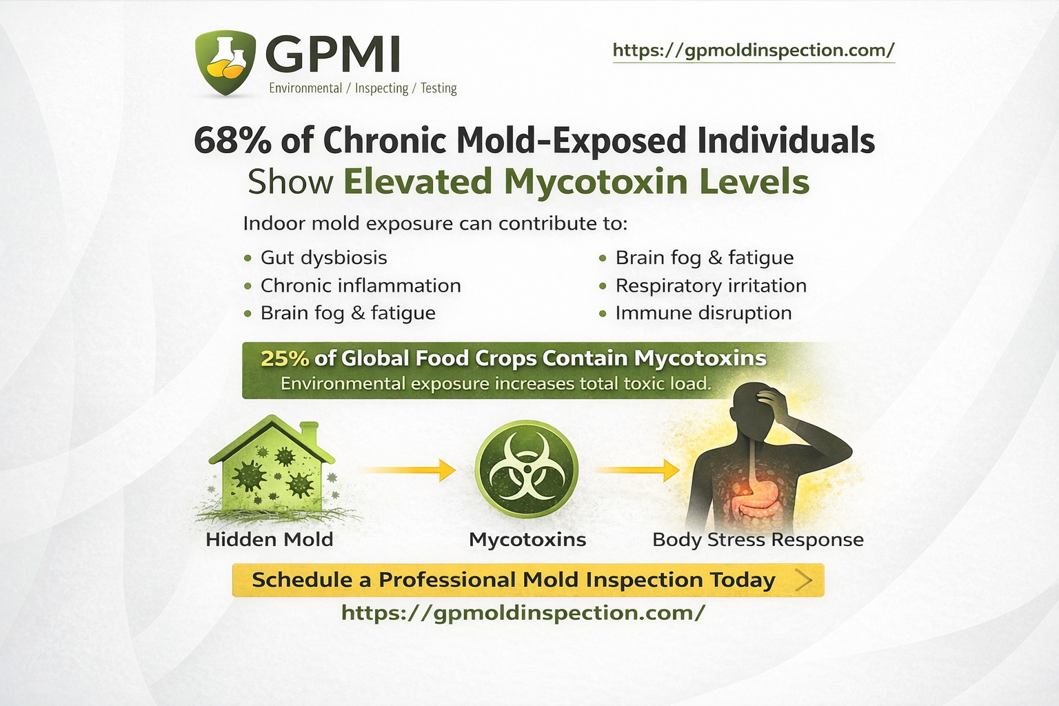 White Background Infographic Showing Mold Exposure Risks, Mycotoxins, And Health Effects By Gpmi.