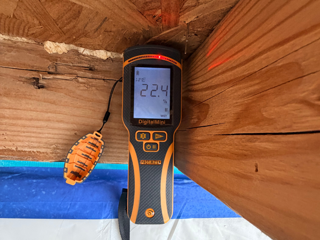 Digital Moisture Meter Showing Elevated Moisture Levels In Wood Framing During Mold Inspection.